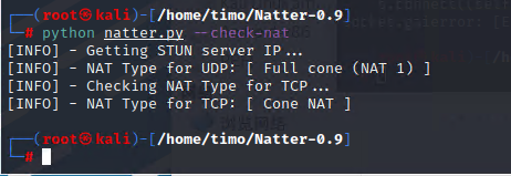 NAT1(Full Cone)利用natter实现内网穿透并在公网上访问